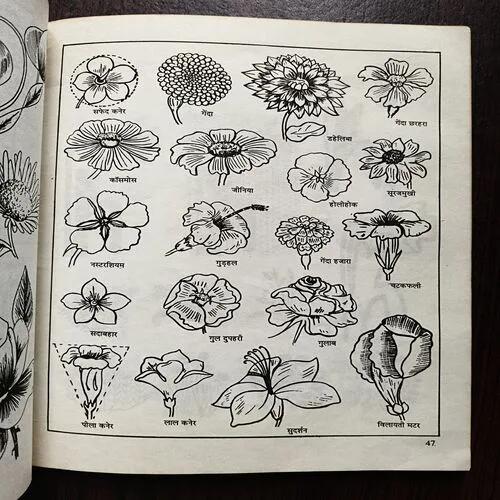 15 Day Drawing And Painting Course