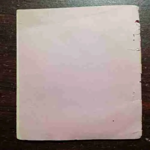 Document 20_21 Punjevadh : Aarthik Vishmta