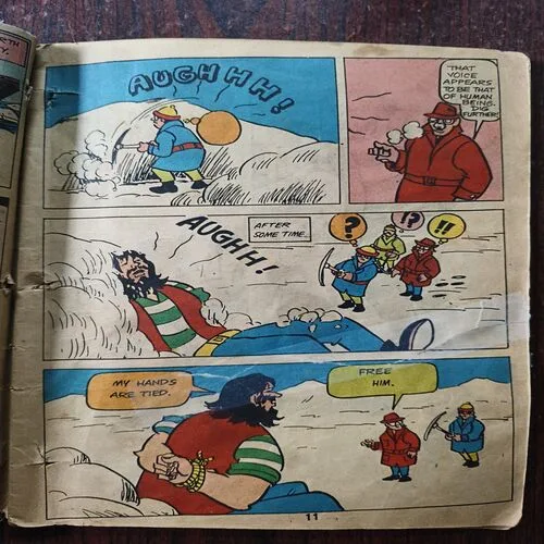 Document 22_11 Chacha Chaudhari Raakas Attack