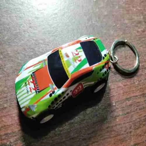 Key Ring (22)