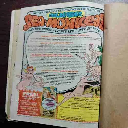 Document 3_57 13 in 1 Banding / Mickey Mouse And Pluto /Mickey Mouse And Goofy /Walt Disney Showcase Pluto /Mickey Mouse And Goofy / Walt Disney Uncle Scrooge / Walt Disney Comics And Stories /Walt Disney Donald Duck /Walt Disney Huey Dewey and Louie / Walt Disney Daisy And Donald /Daffy Duck /Beep Beep The Road Runner 15c /Beep Beep The Road Runner 25/ Beep Beep The Road Runner 35.