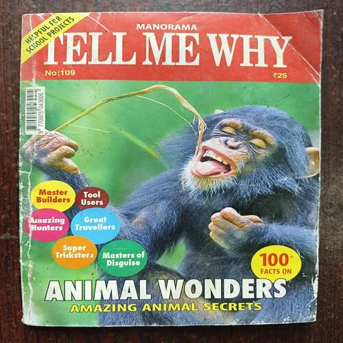 Tell Me Why ( October 2015 )