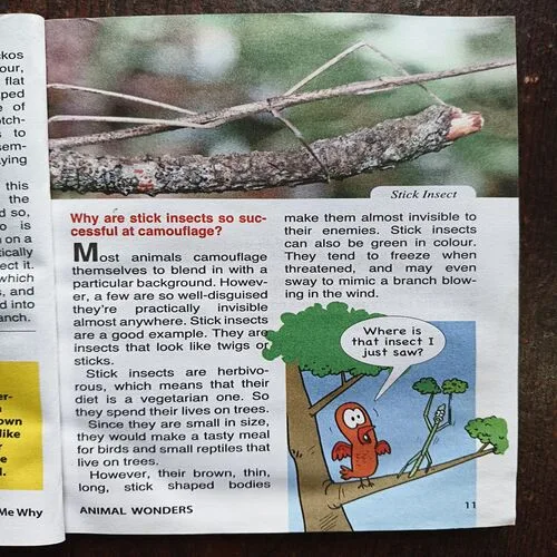 Tell Me Why ( October 2015 )