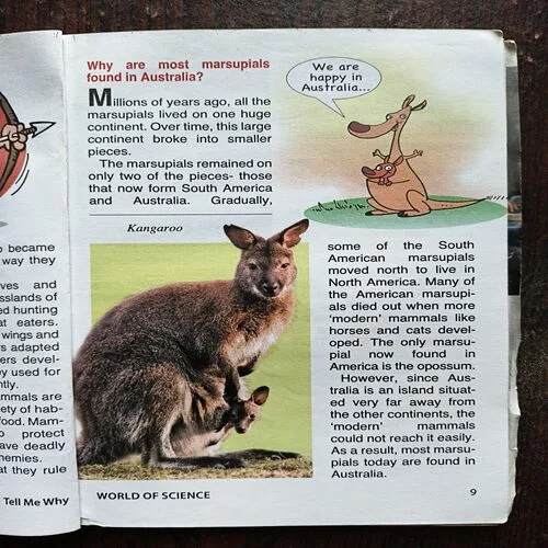 Document 4_60 Tell Me Why ( December 2015 )