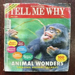 Document 4_83 Tell Me Why ( October 2015 )