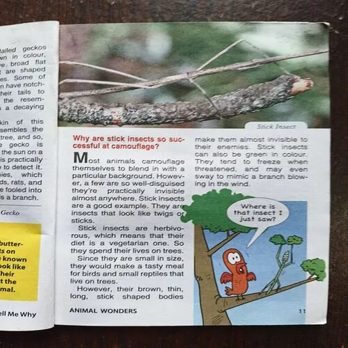 Tell Me Why ( October 2015 )