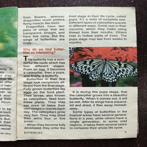 Document 4_87 Tell Me Why ( November , 2016 )