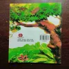Document 5_36 Bulleshah (Rs.19)