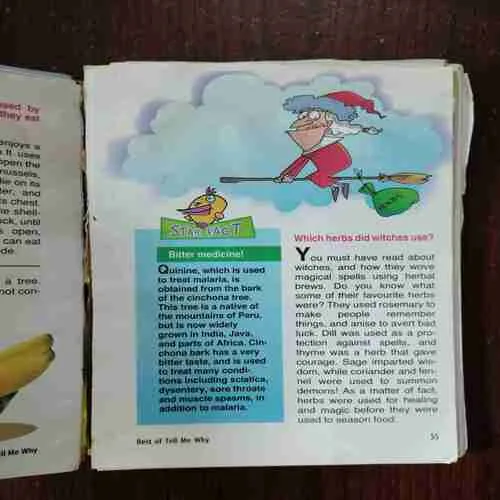 Tell Me Why ( January 2015 ) ( Damage )