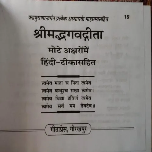 Shrimadbhagwadgita Mahatmyashit (Total Pages = 384)