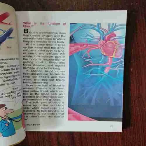 Tell Me Why ( February 2015 )