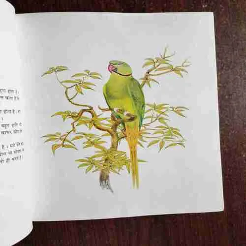 KUCH BHARATIYE PAKSHI