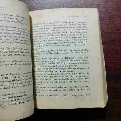 Document_143 Johnny Gone Down By Karan Bajaj