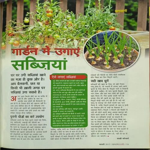 Jagran Sakhi (February 2017)