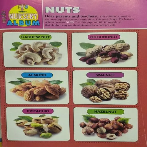 Magic Pot ( November 20 , 2024 )