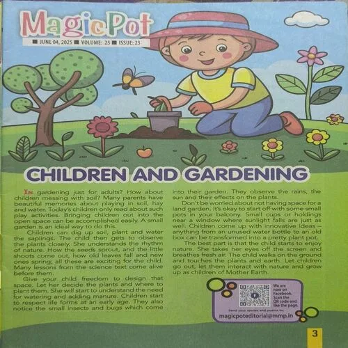 Magic Pot ( April 2021 )