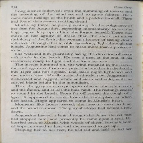 Great Adventure Stories