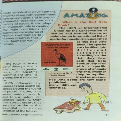 Tell Me Why ( April 2008 )