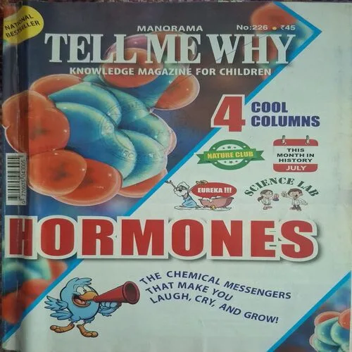 Tell Me Why ( July 2025 )