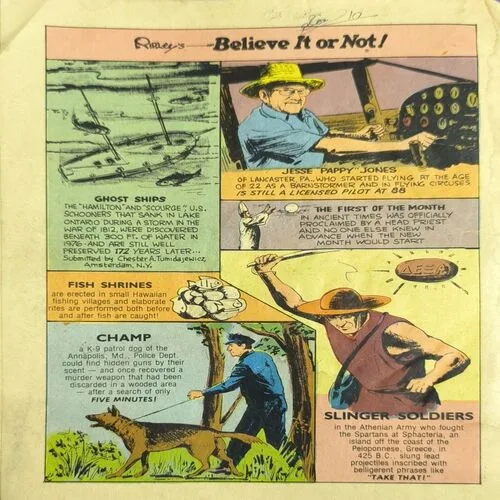 Document_51 The Call Of The Valley