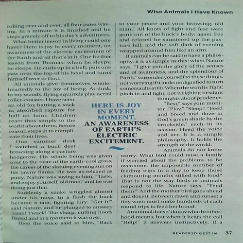 Document_52 Document_52