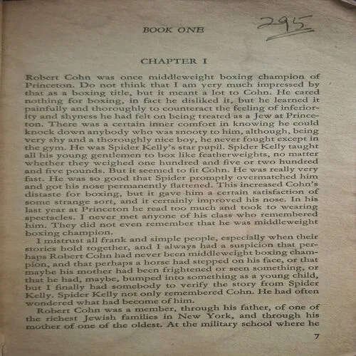 Fiesta ( Ernest Hemingway )(Total Pages = 206 )