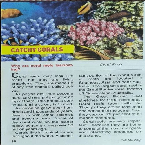 Tell Me Why ( February 2016 )