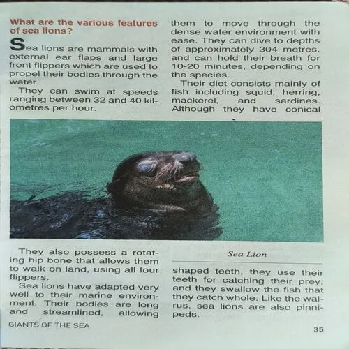 Tell Me Why ( February 2016 )