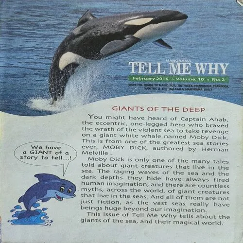 Tell Me Why ( February 2016 )