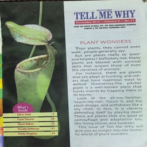 Tell Me Why ( November 2015 )