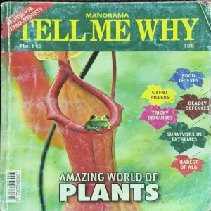 Tell Me Why ( November 2015 )