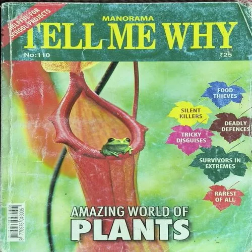 Tell Me Why ( November 2015 )