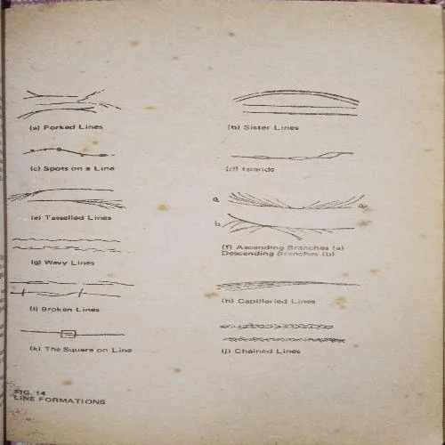 The Cheiro book of Fate and Fortune