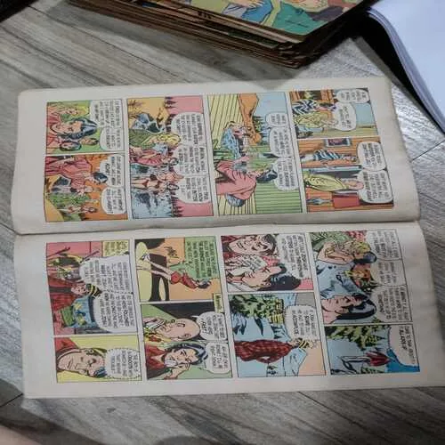 The Conspiring Ogre . ( Vol. 21 , No. 17 ).