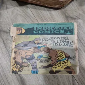 Curse Of The Sacred Image . ( Vol. 24 , No. 49 ) . Curse Of The Sacred Image . ( Vol. 24 , No. 49 ) .