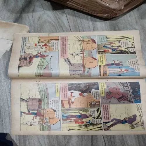 Indrajaal Comics 33 Curse Of The Sacred Image . ( Vol. 24 , No. 49 ) .