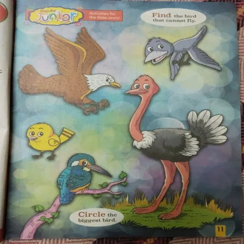 Magic Pot (July 24, 2024)