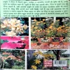 Bagwani Kaise Kare (pages 290) (By Arun Sagar)