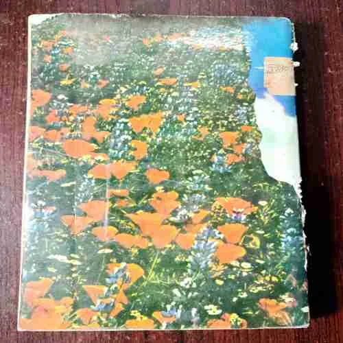 Sixteen Spirtual Summers