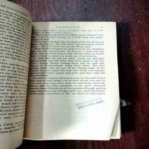 The Jungle Books ( Rudyard Kipling )