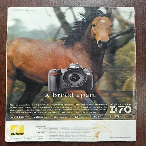 Document 14_6 Outlook ( June 2004 )