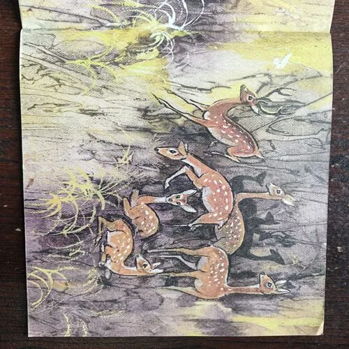 A Voice In The Jungle