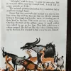 Stories From Panchatantra Book -1