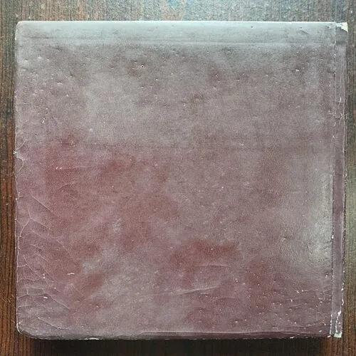 S K Singh Diary 2016