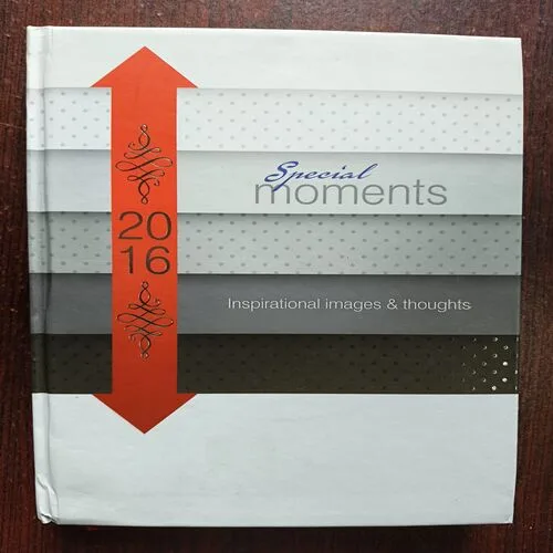 Document 16_42 Diary 2016