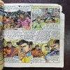 Parkale ( Page No 27 to 121 Are Damage And Story Impact And Back Cover Damage ) ( Raj Comics )
