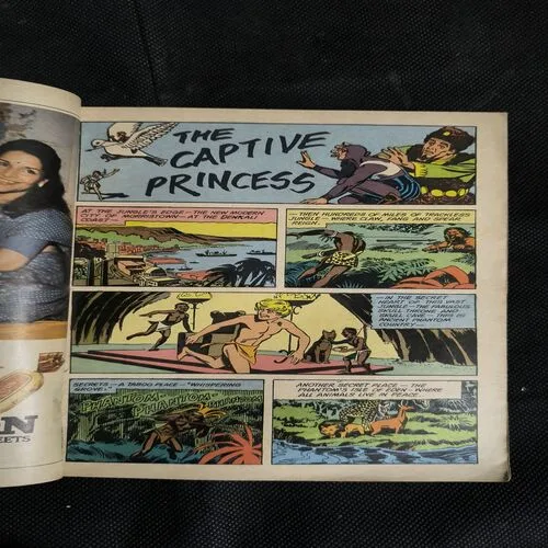 The Captive Princess