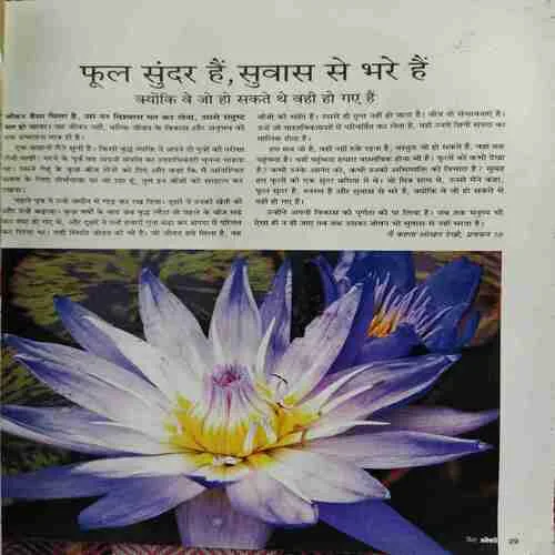 Document 2_17 Yes Osho ( January 2017 )