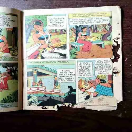 Document 2_20 NALA DAMAYANTI ( Damage )