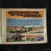 Monarchs Of The Jungle Part-2